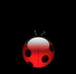 Ladybug.png